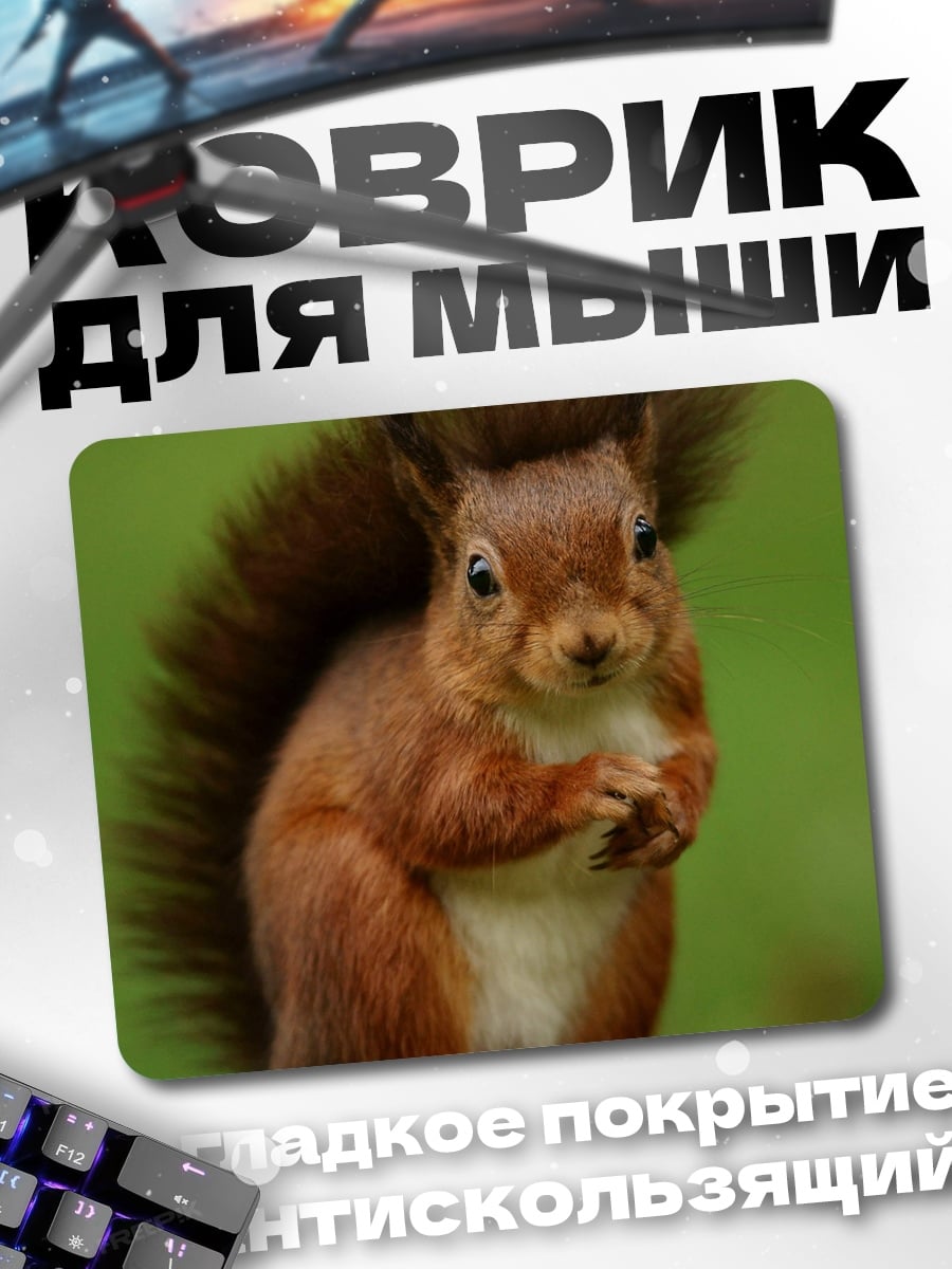 Коврик рыжая белка