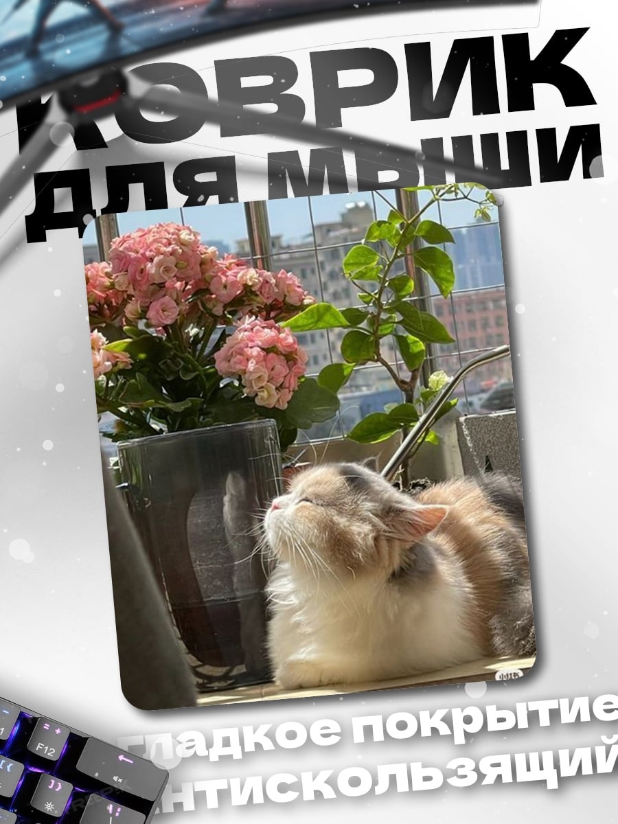 Коврик Кот у окна