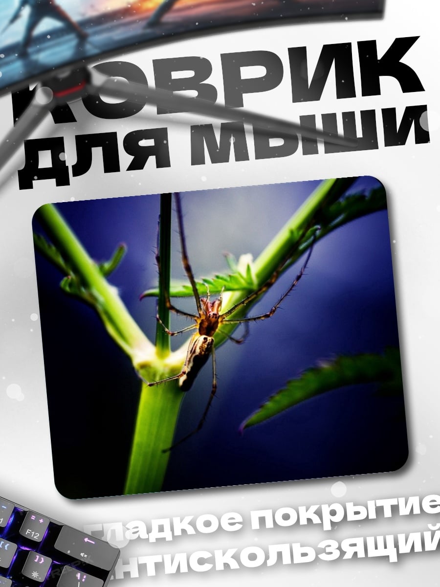 Коврик Паук на ветке