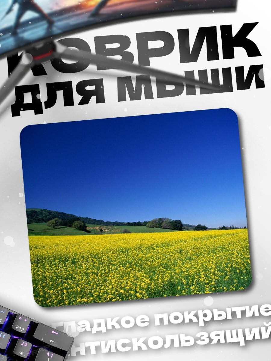 Коврик поле рапса