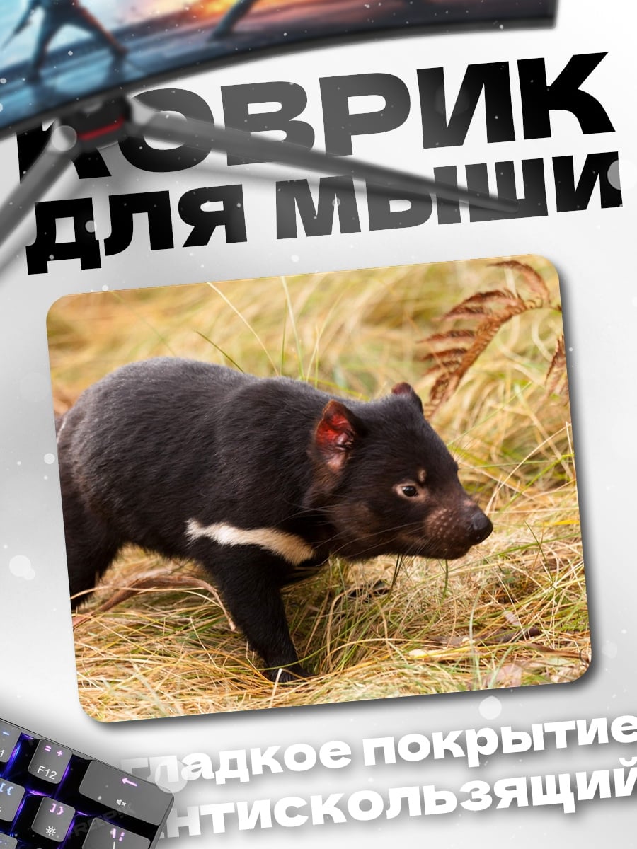 Коврик Тасманийский дьявол
