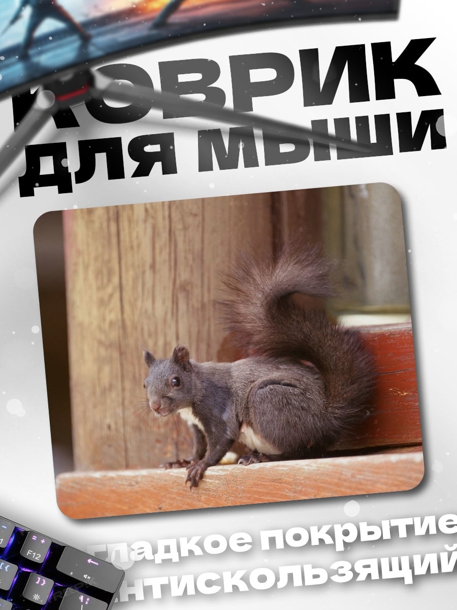 Коврик Рыжая белка