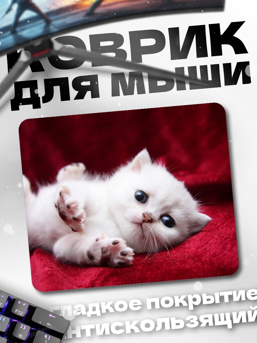 Коврик белый котенок на красном