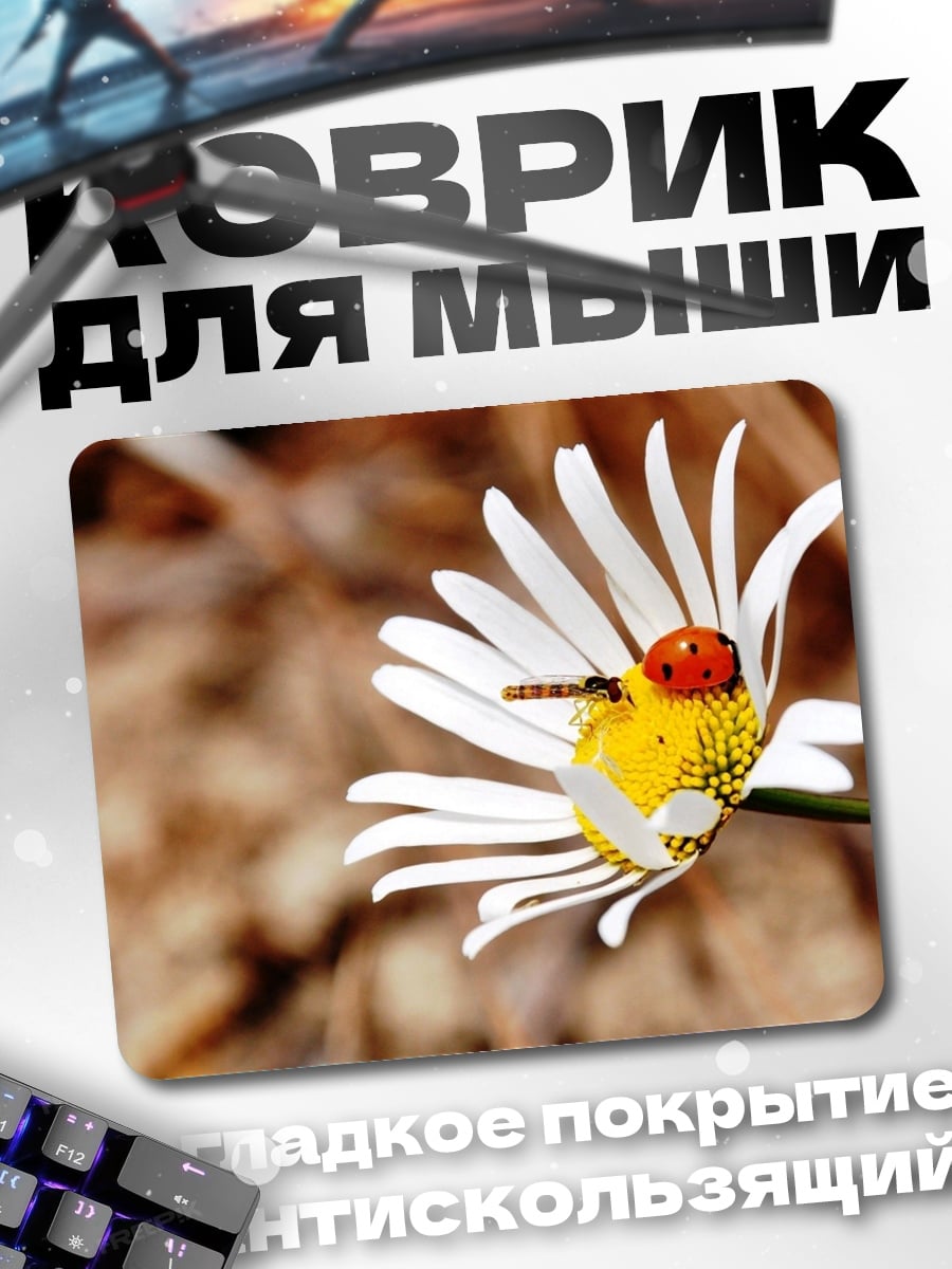 Коврик Божья коровка на цветке