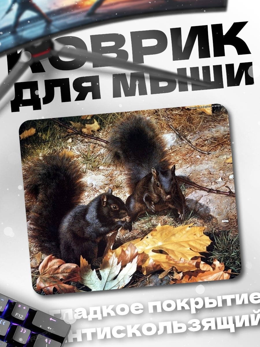 Коврик Два черных бельчонка