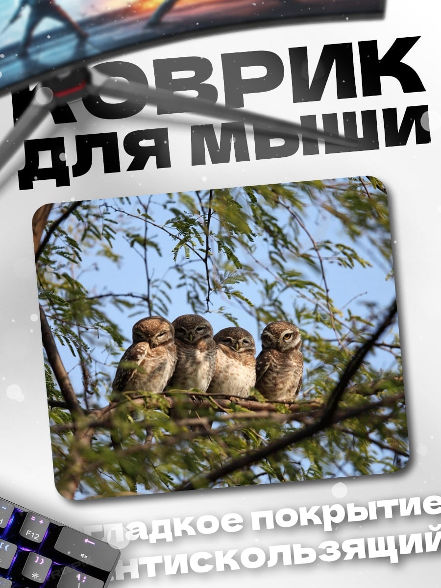 Коврик четыре совы