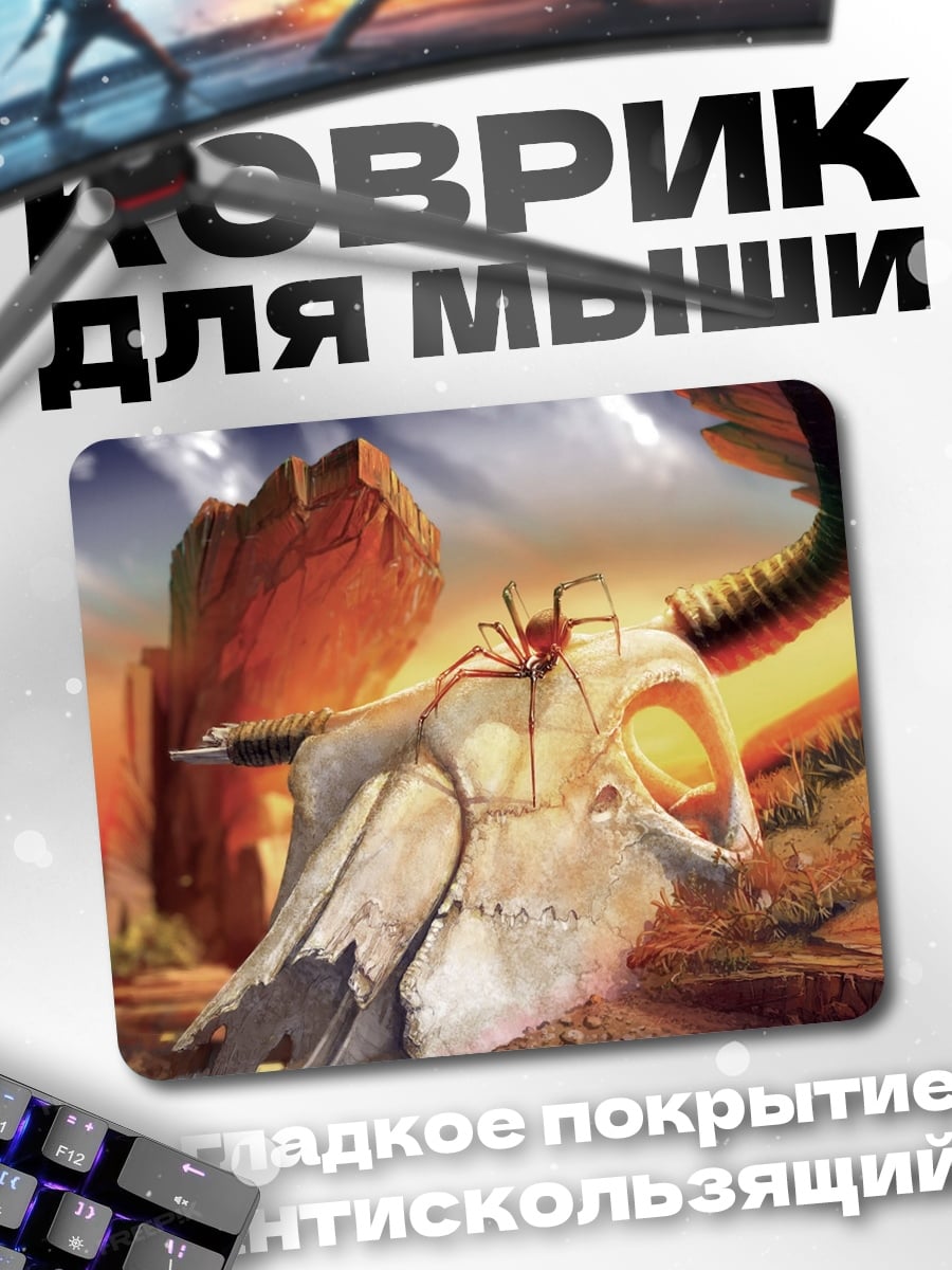 Коврик Череп паука
