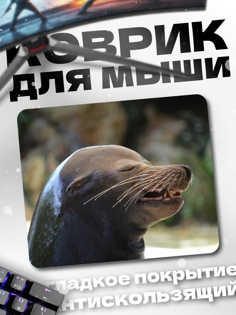Коврик Морской лев