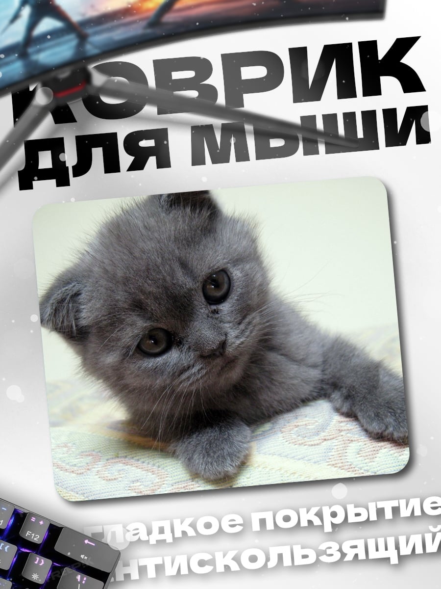 Коврик Серый котенок