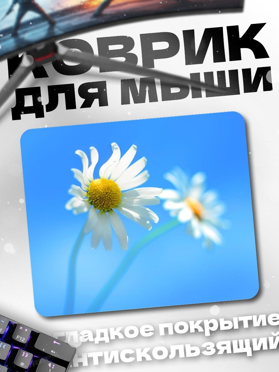 Коврик ромашки на синем фоне