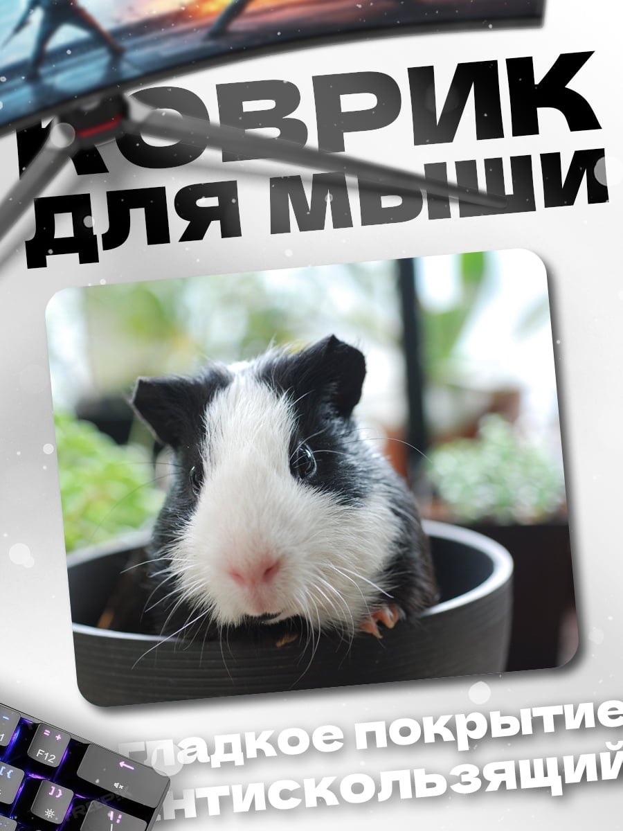 Коврик Морская свинка