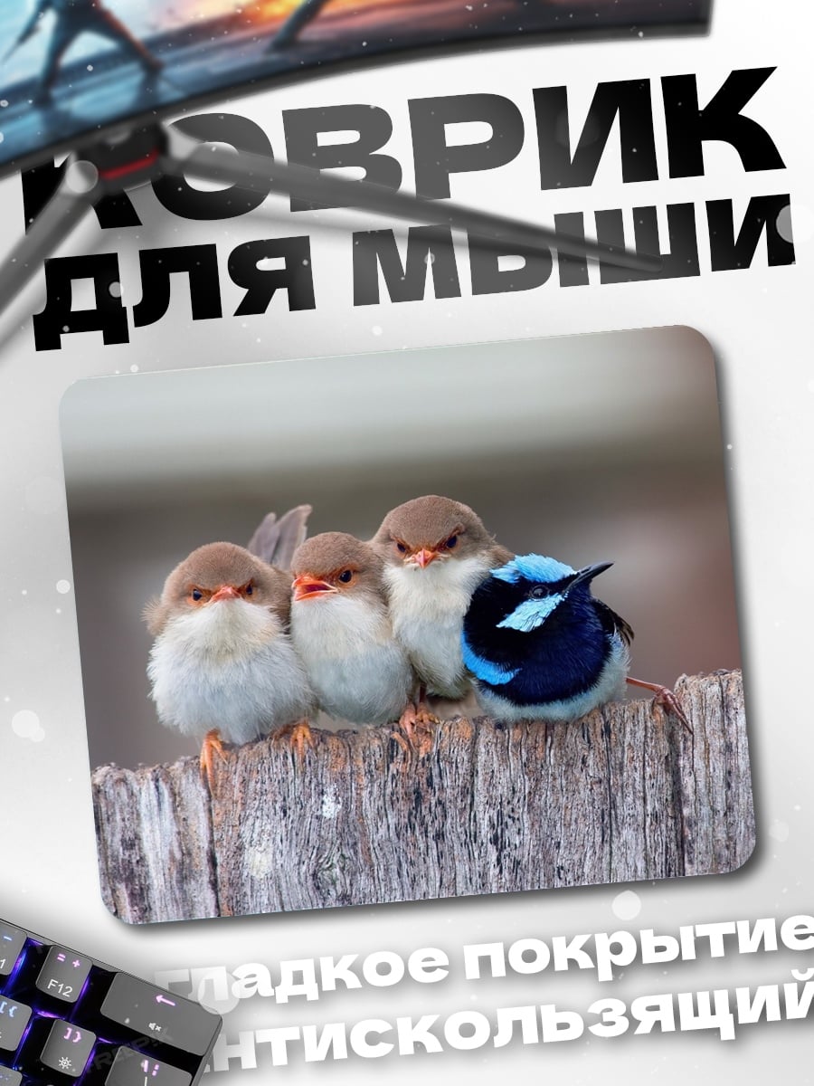 Коврик Четыре птички
