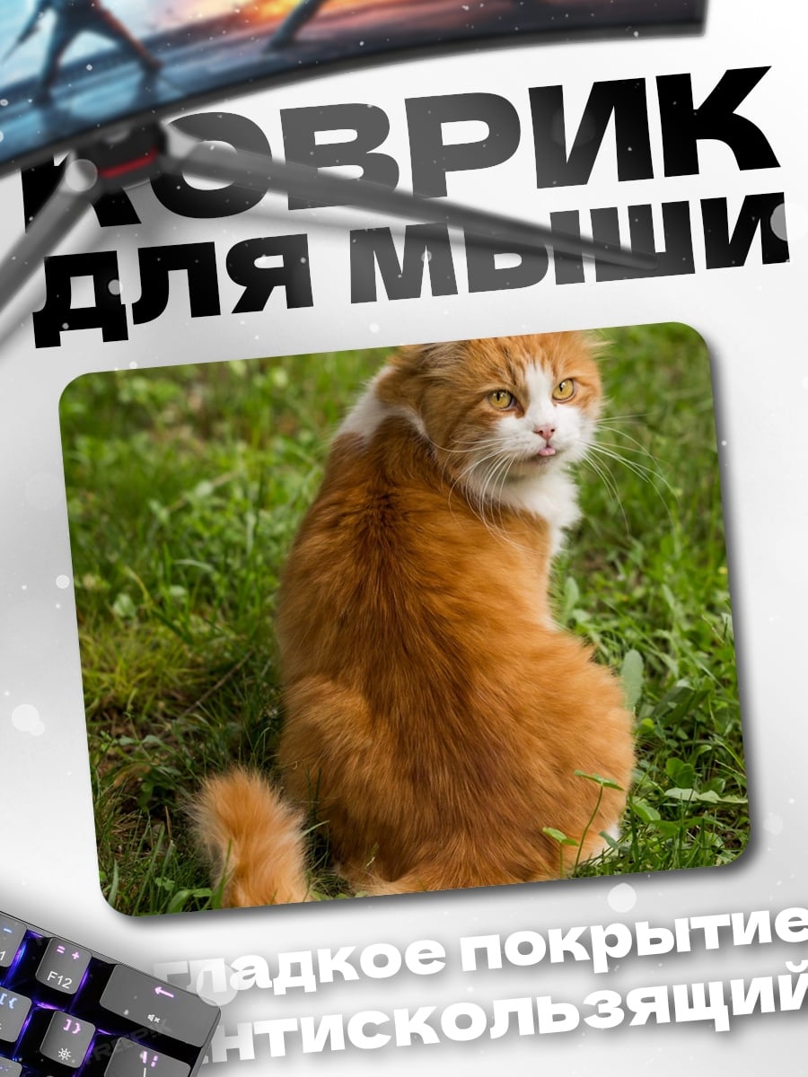 Коврик Рыжий кот на траве