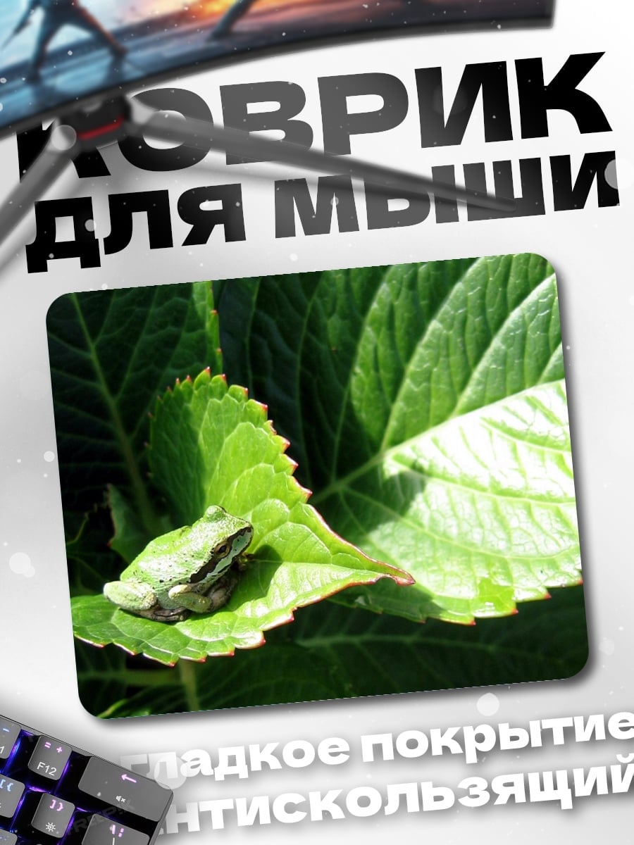 Коврик Лягушка на листе