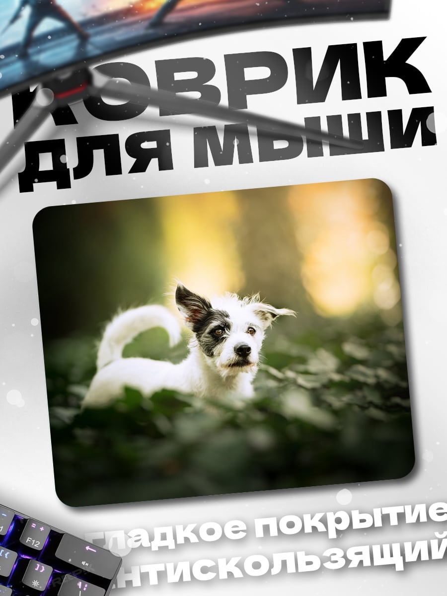 Коврик Собака в лесу