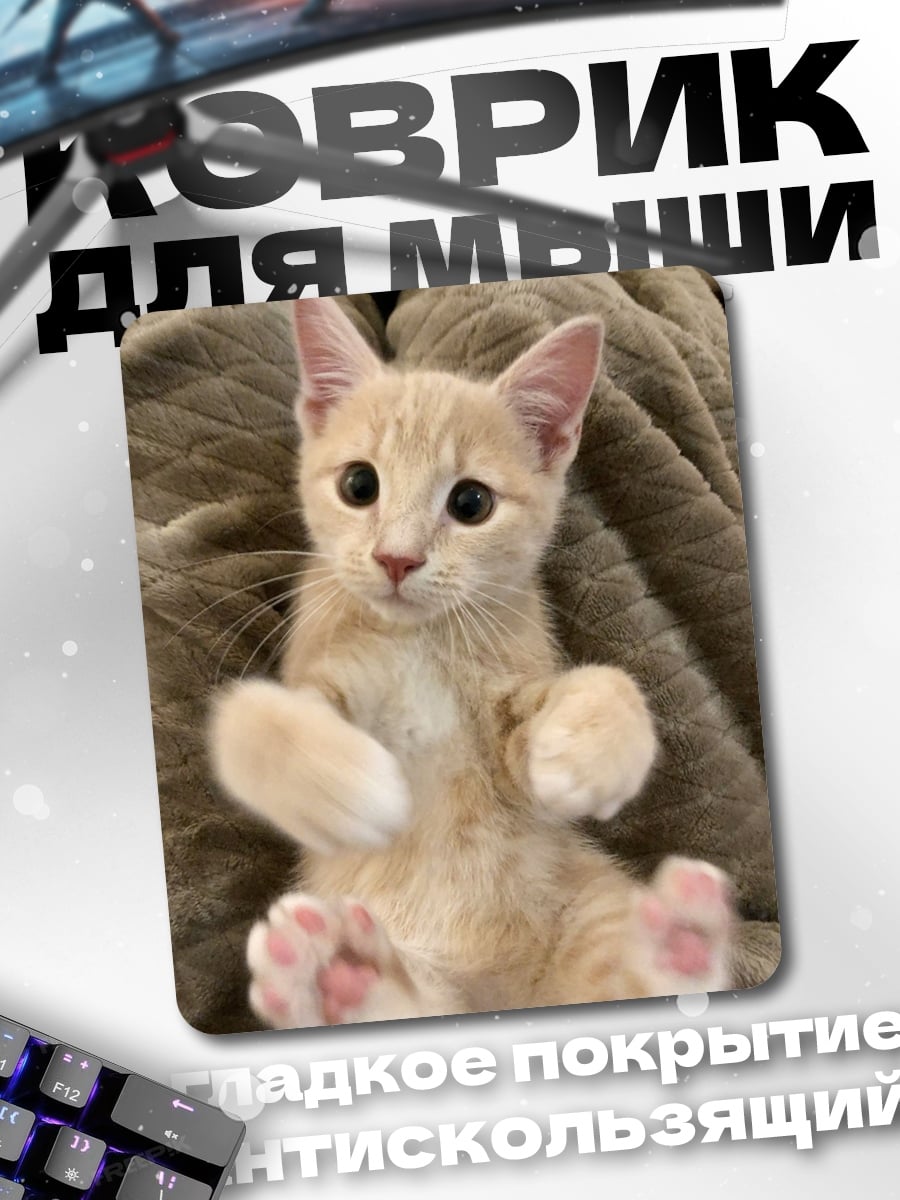 Коврик Рыжий котенок лежит