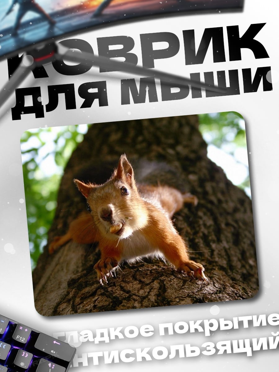 Коврик Белка на дереве