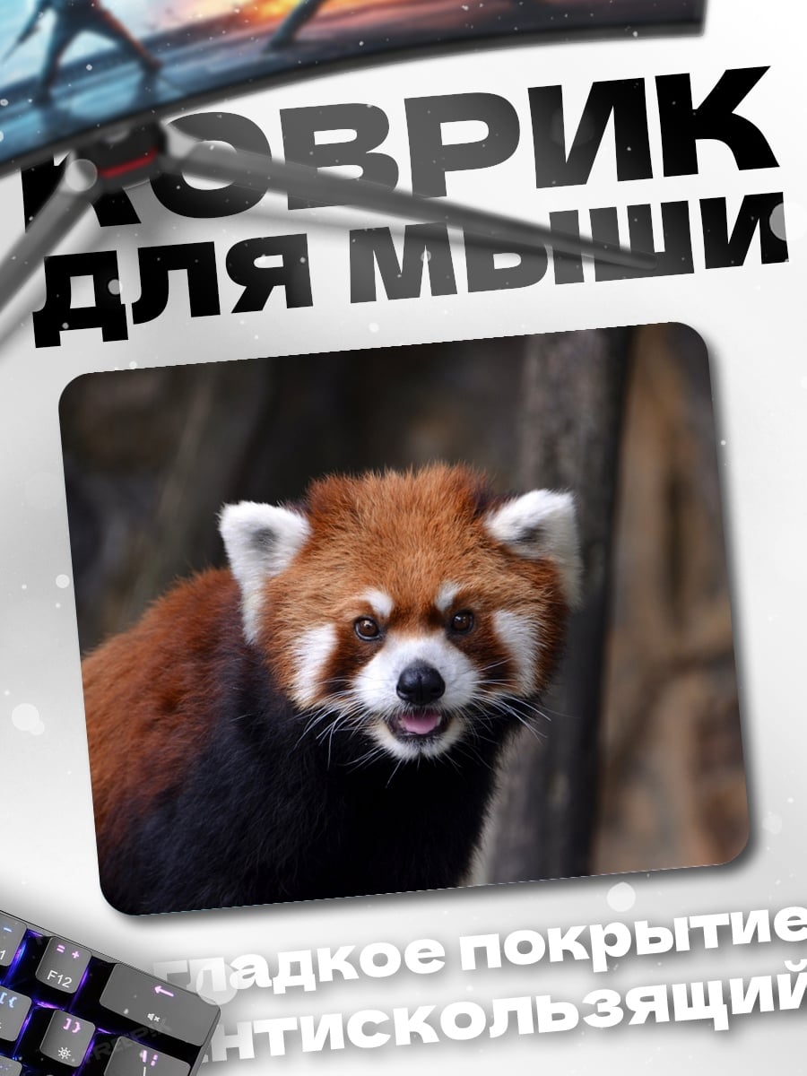 Коврик Красная панда