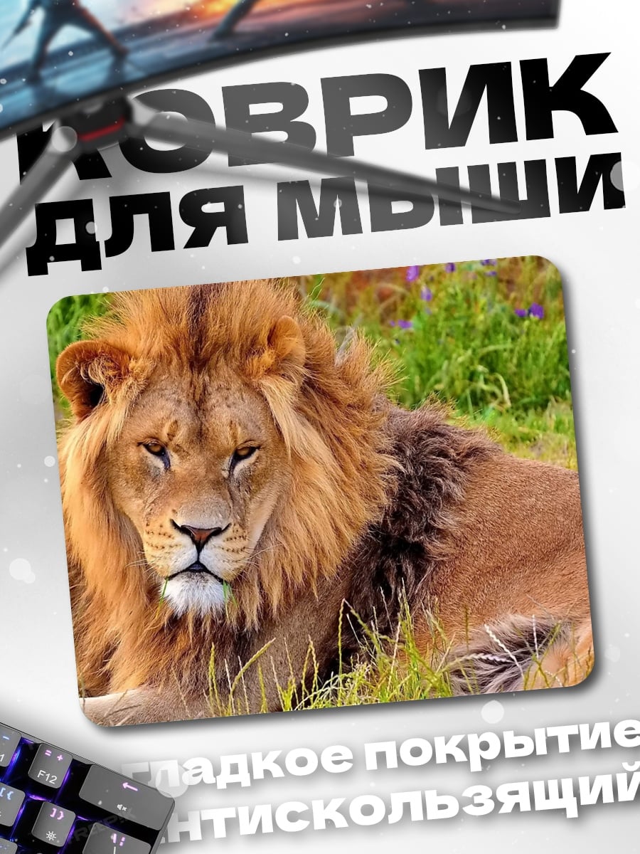 Коврик Лев в траве