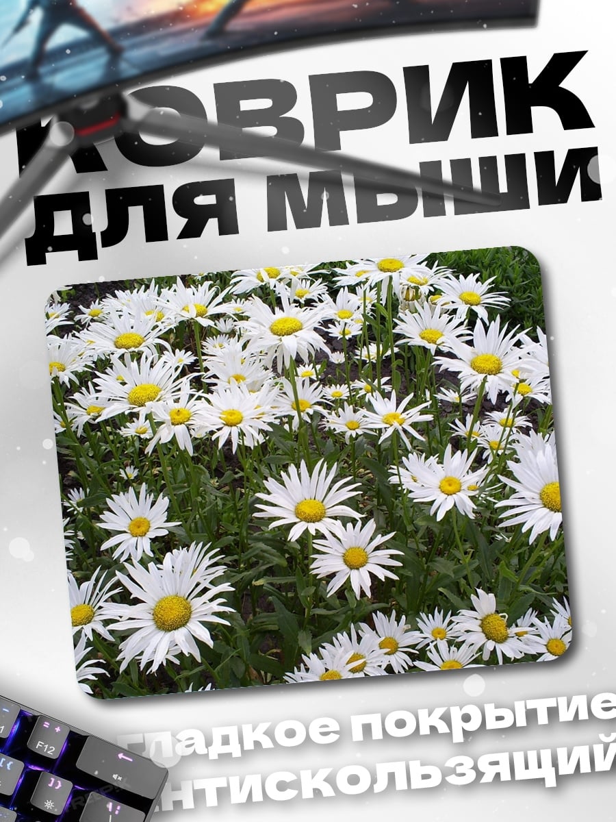 Коврик Поле ромашек