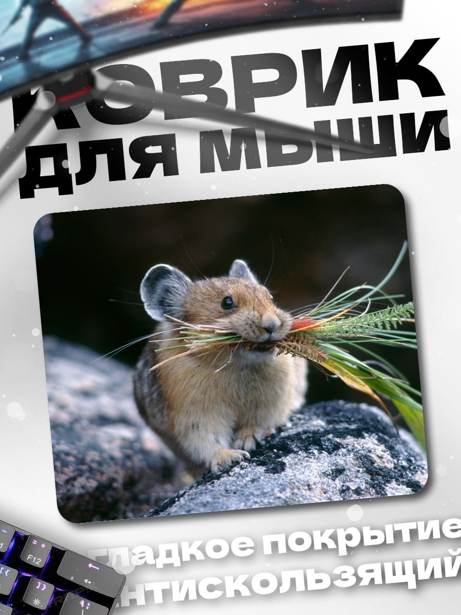 Коврик Пика с травой