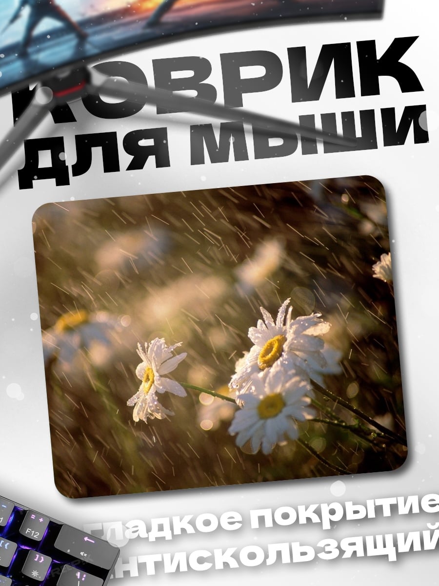 Коврик Ромашки на ветру