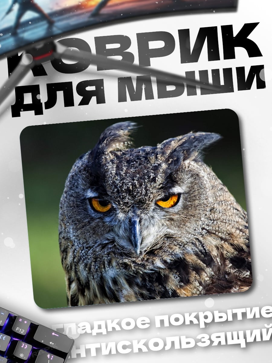 Коврик Филин смотрит