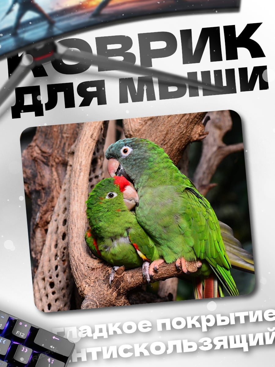 Коврик Пара попугаев