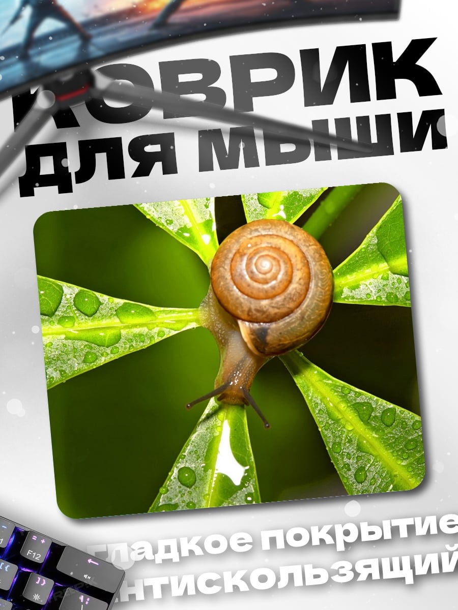Коврик Улитка на листе