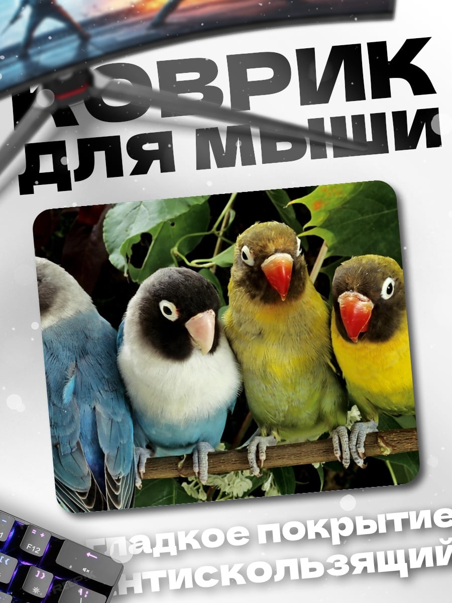 Коврик Четыре попугая