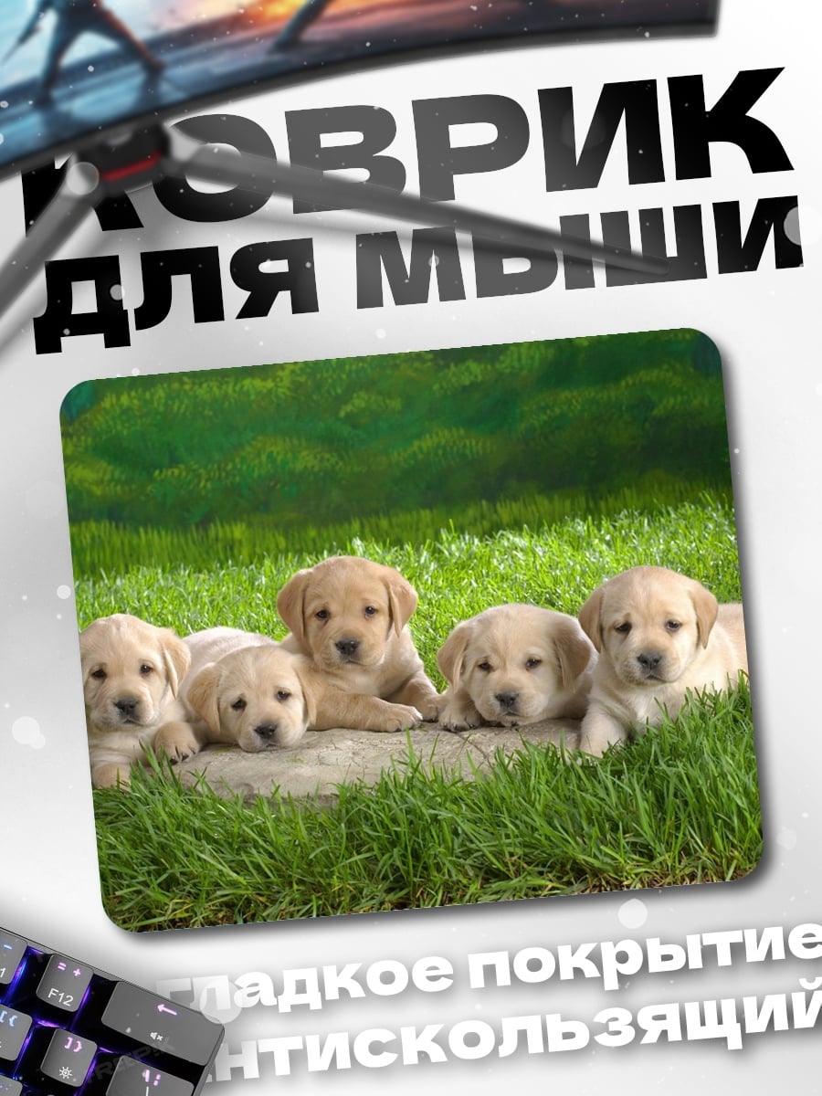 Коврик Щенки лабрадора на траве