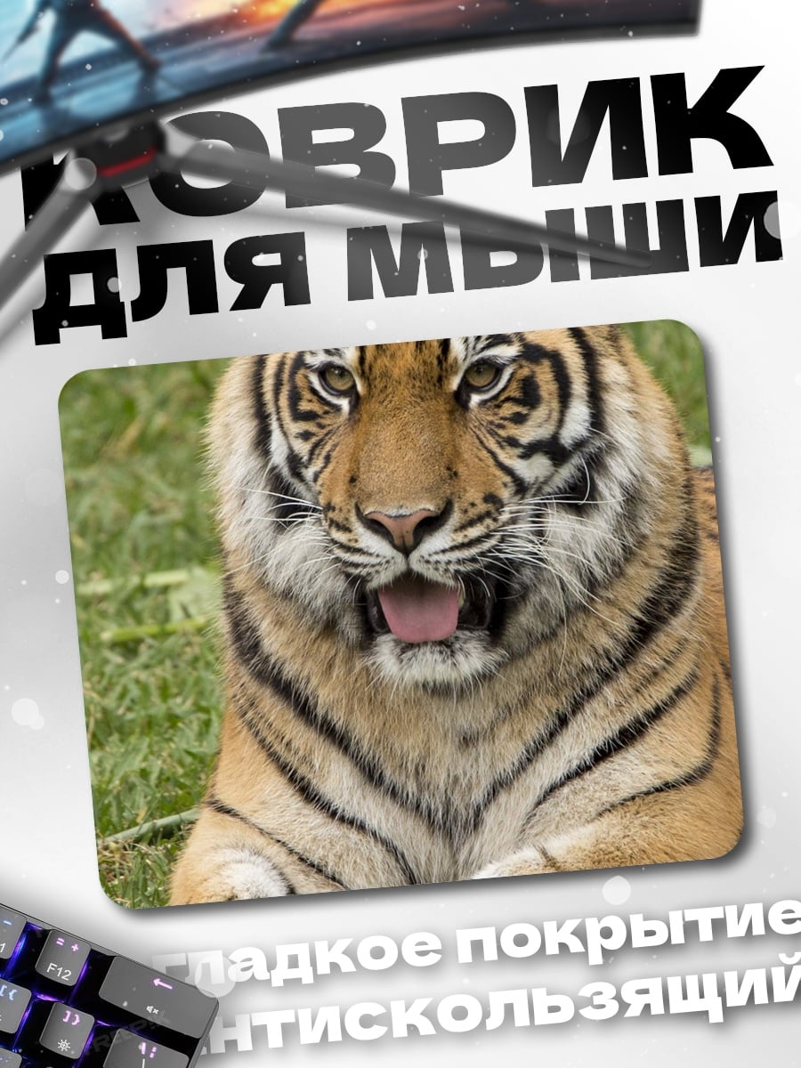 Коврик Лежащий тигр