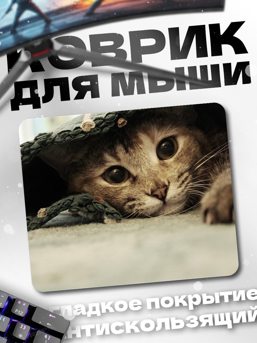 Коврик Кот под пледом
