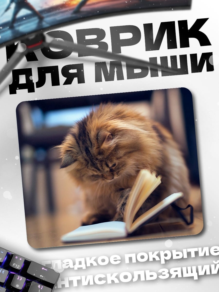 Коврик пушистый кот читает