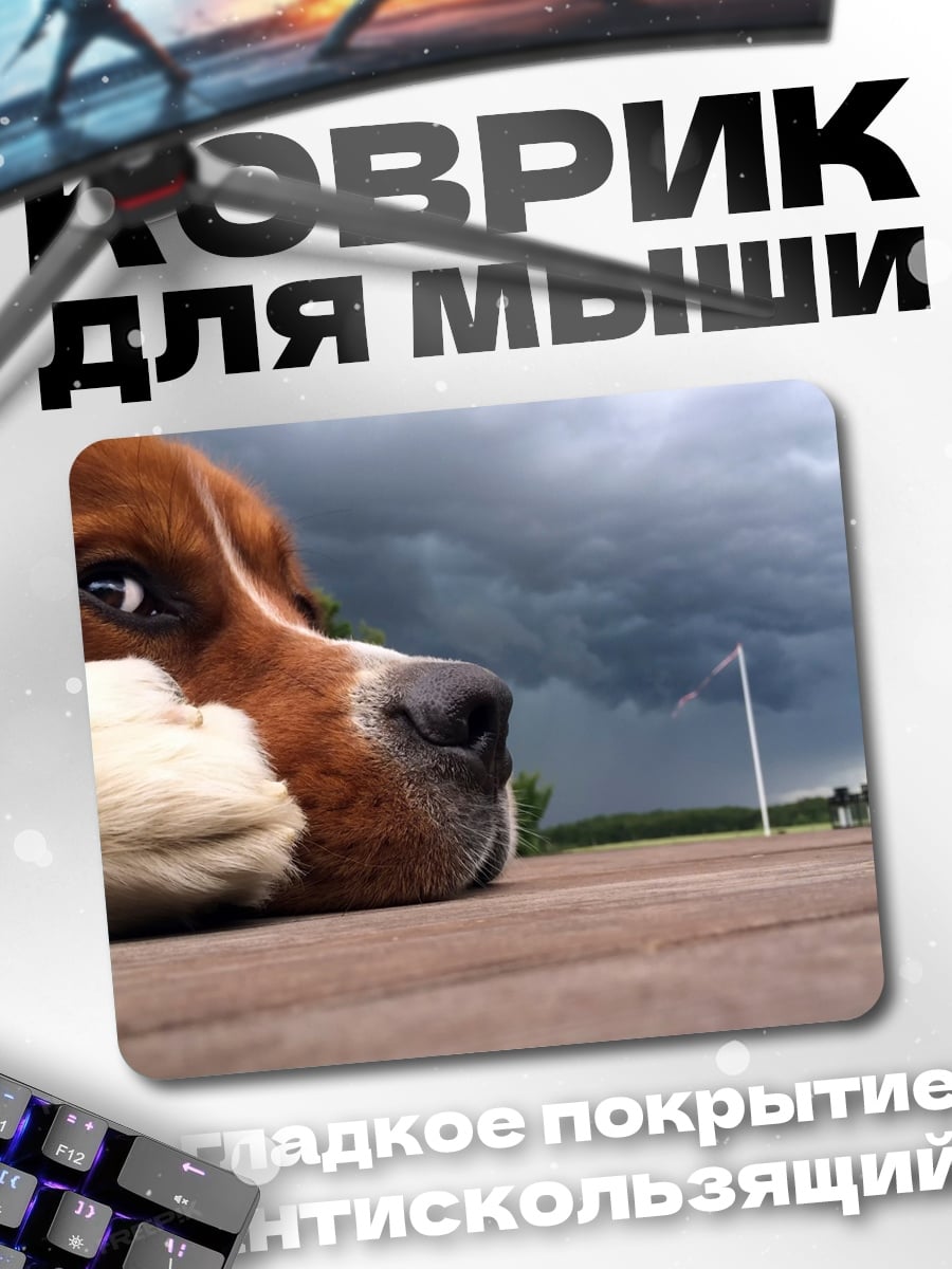 Коврик Собака и гроза