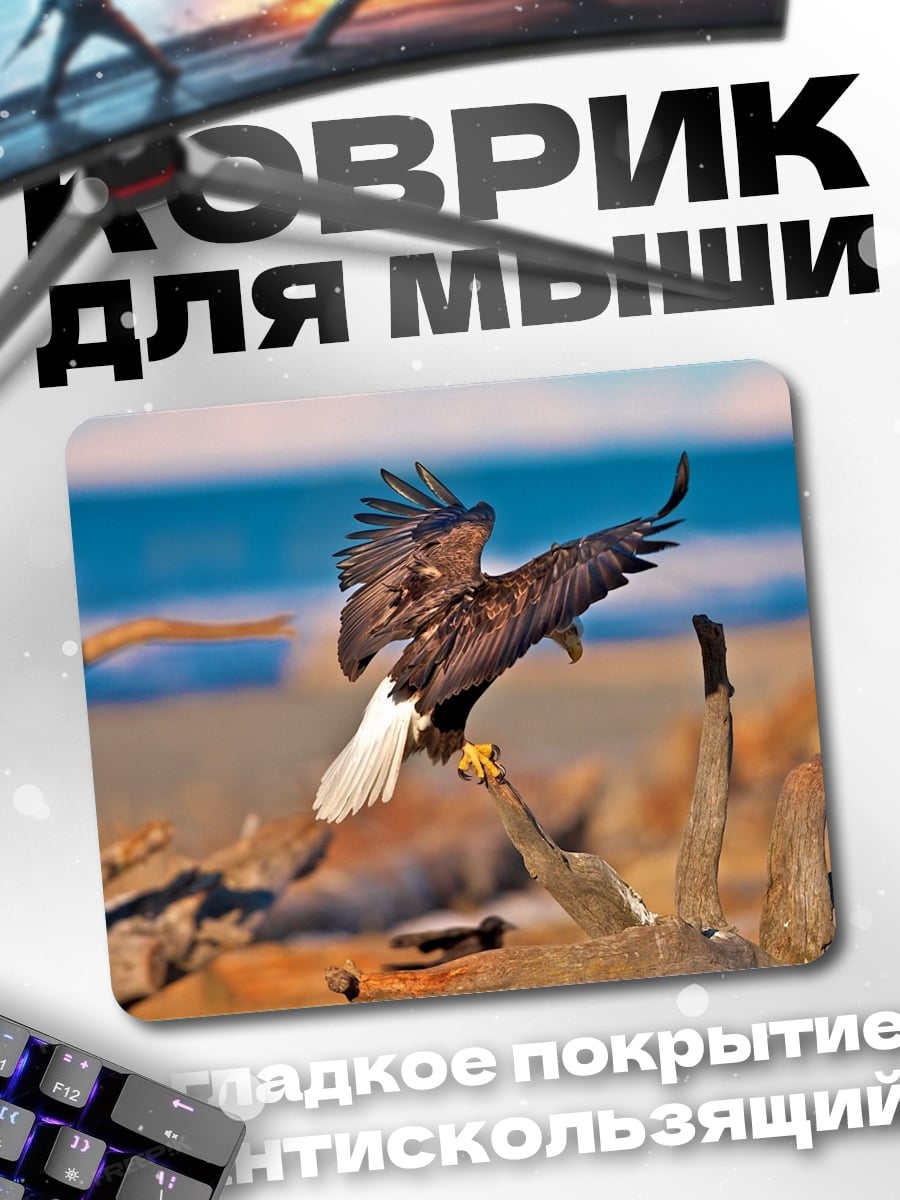 Коврик Орлы на берегу