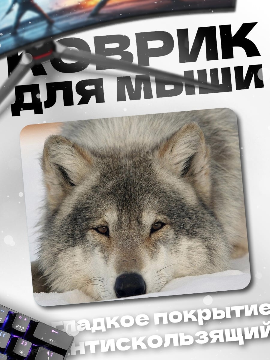 Коврик Волк лежит снег