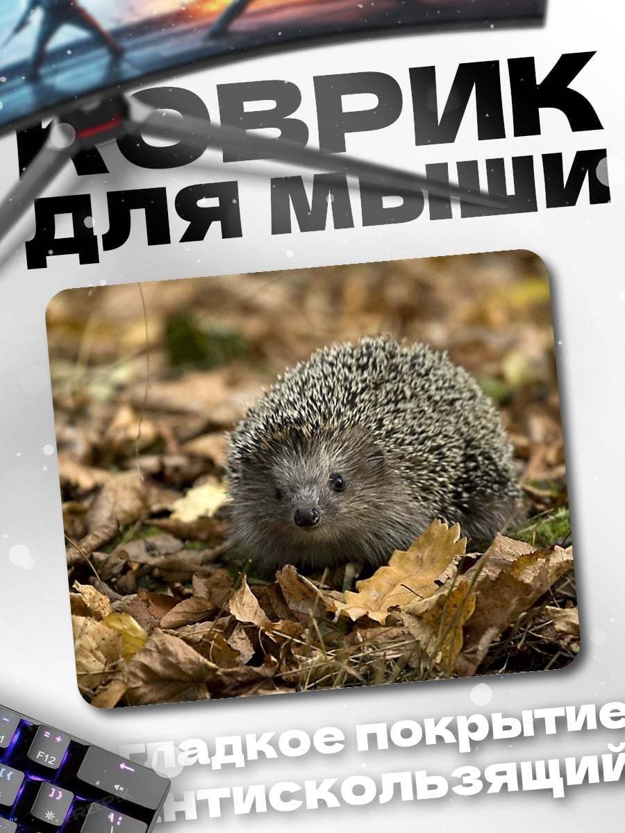 Коврик Ёжик в осенних листьях