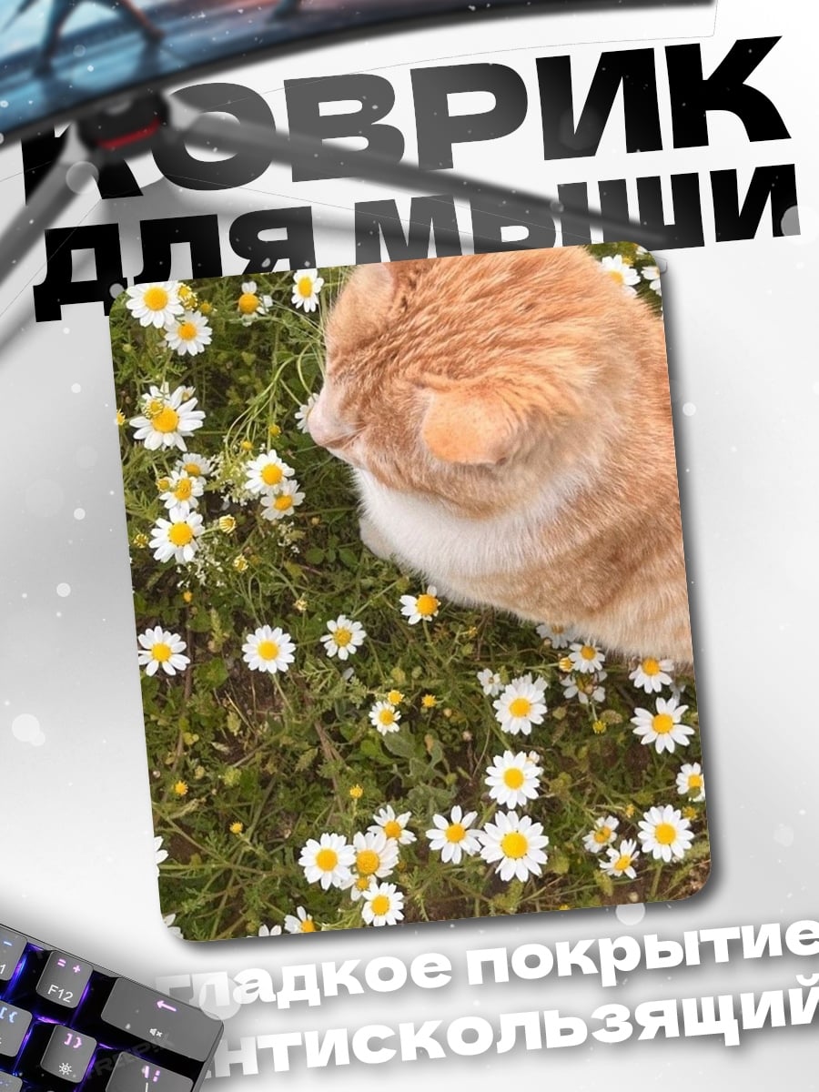 Коврик Рыжий кот ромашки