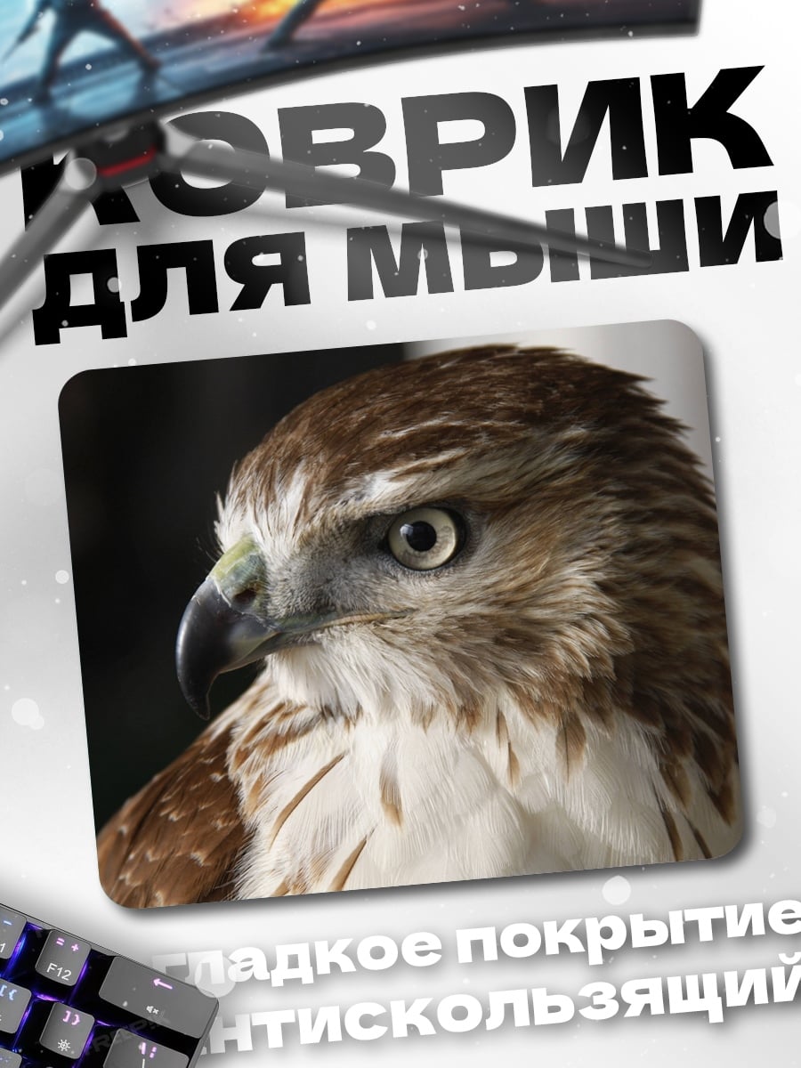 Коврик Хищная птица в профиль