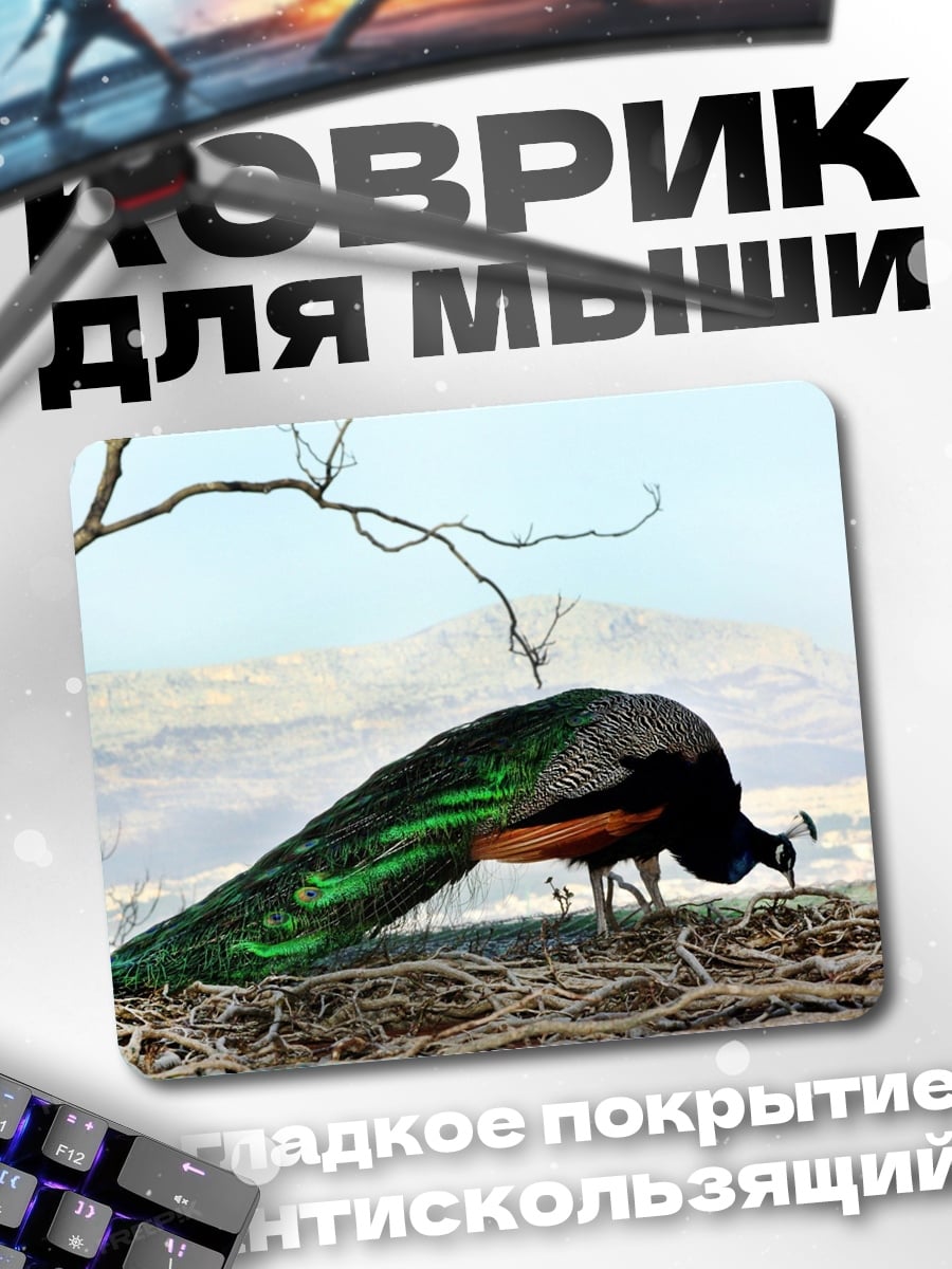 Коврик Павлин в природе