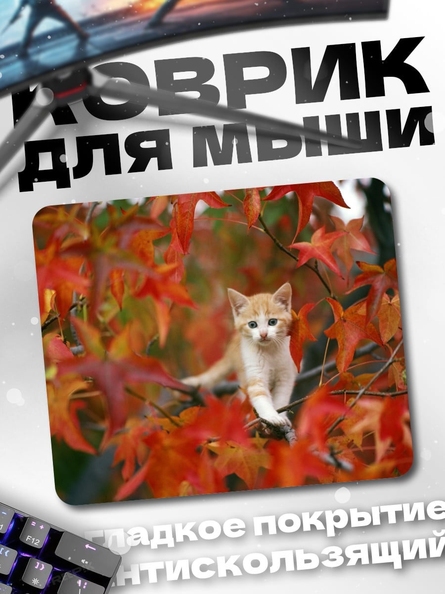 Коврик Котёнок в осени
