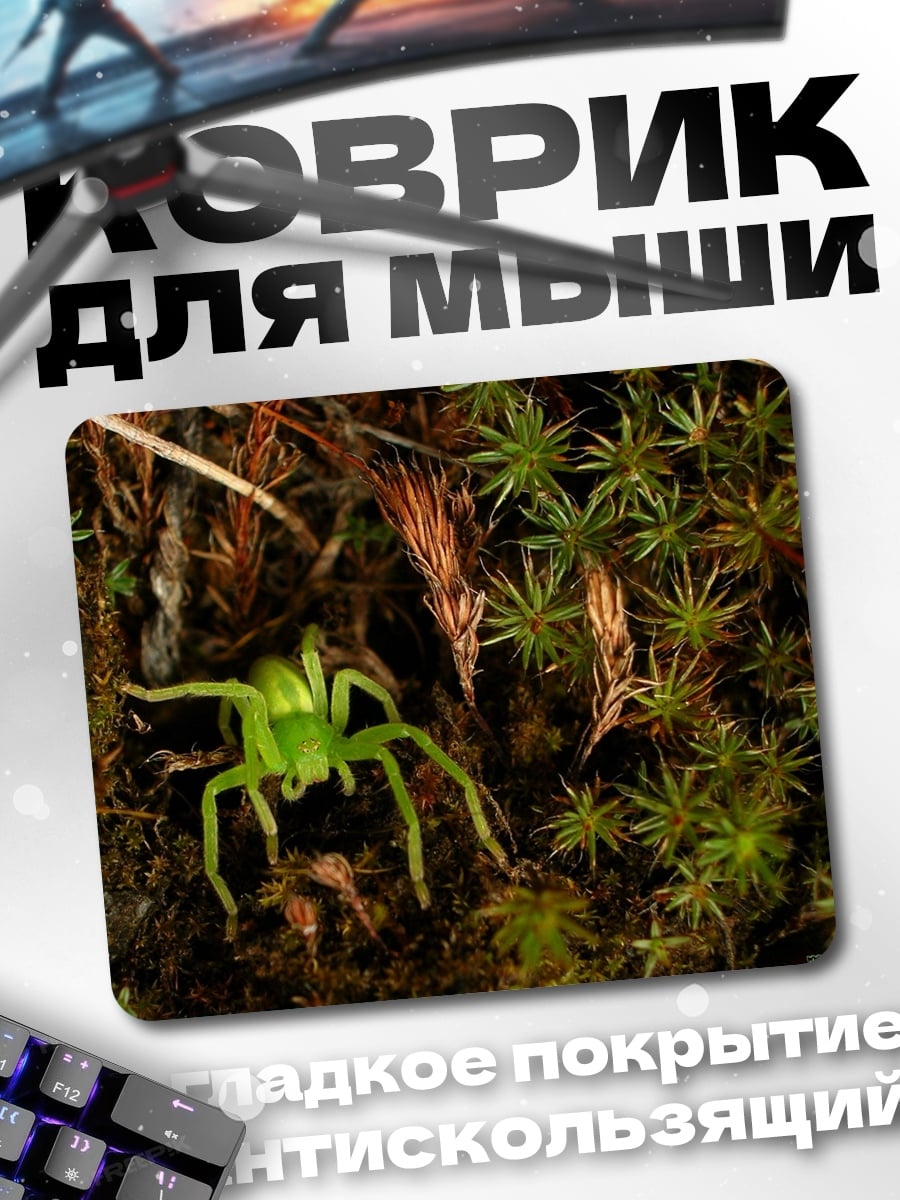 Коврик Зеленый паук