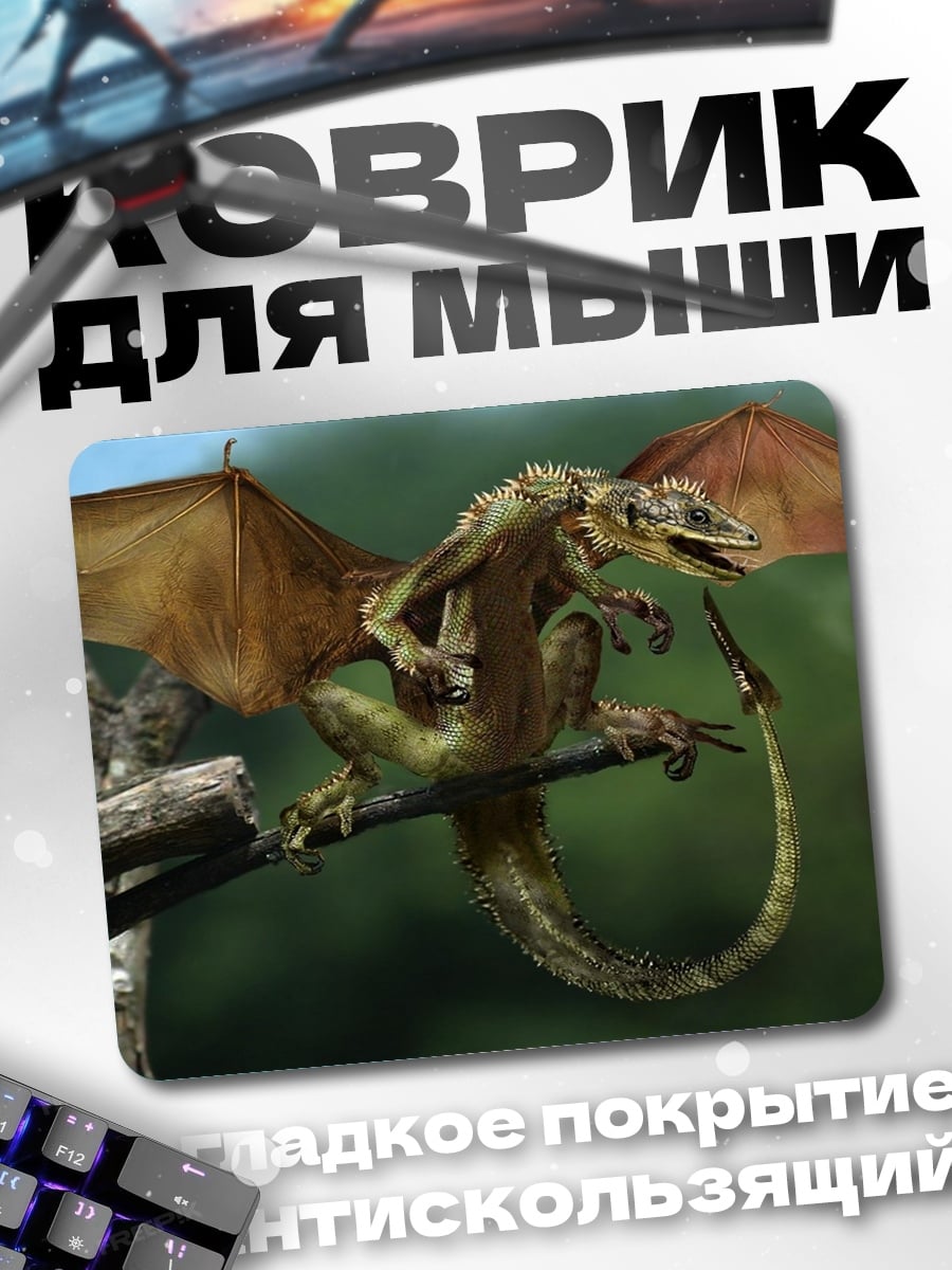 Коврик Летающий дракон