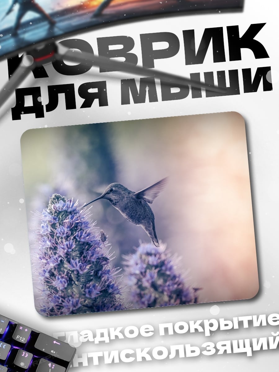 Коврик Колибри и цветы