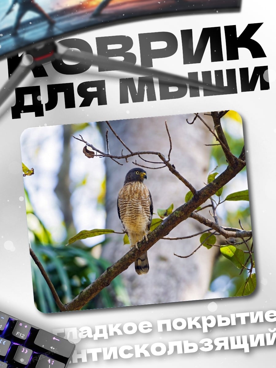 Коврик ястреб на ветке