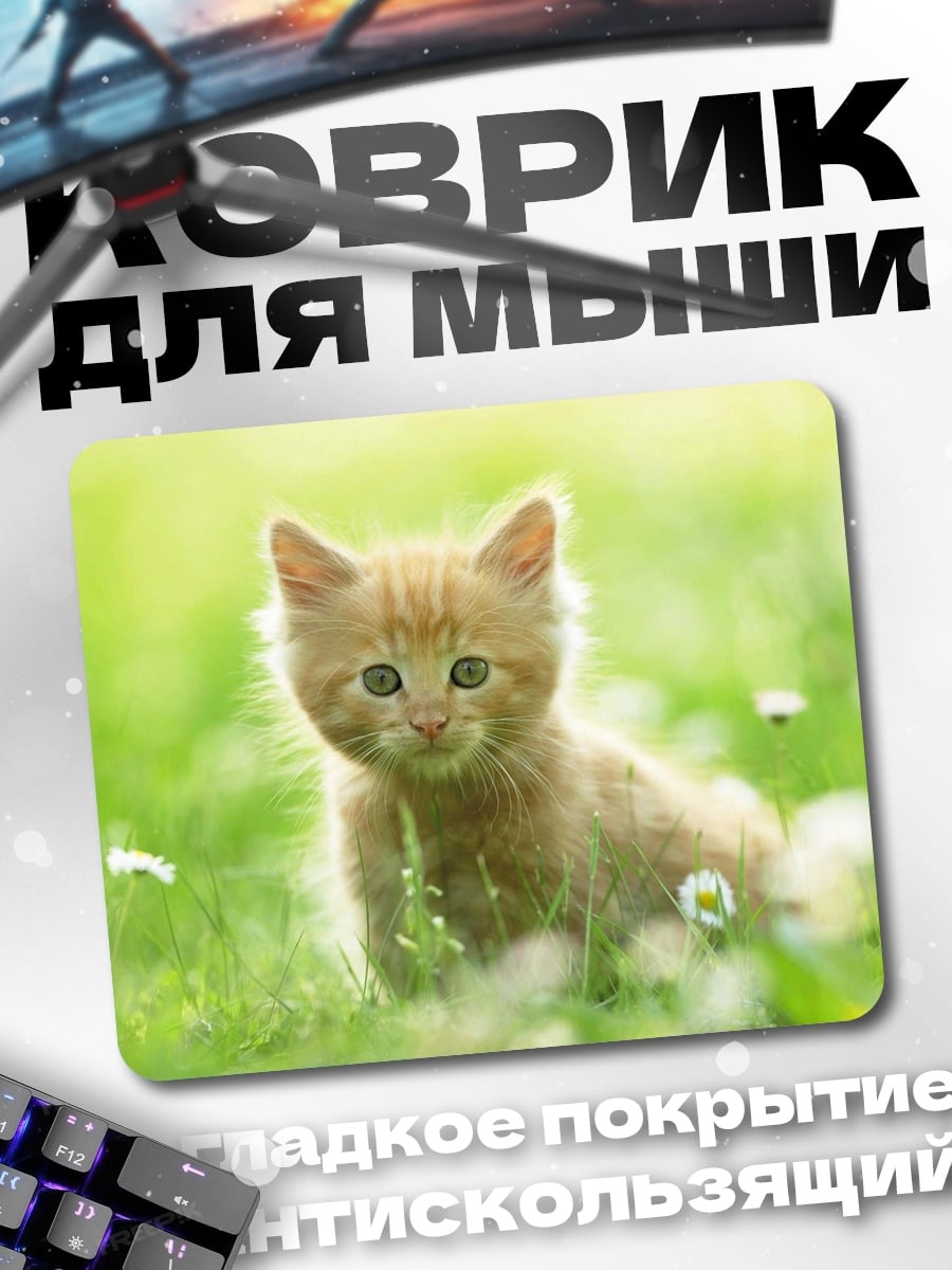 Коврик Рыжий котенок на лугу