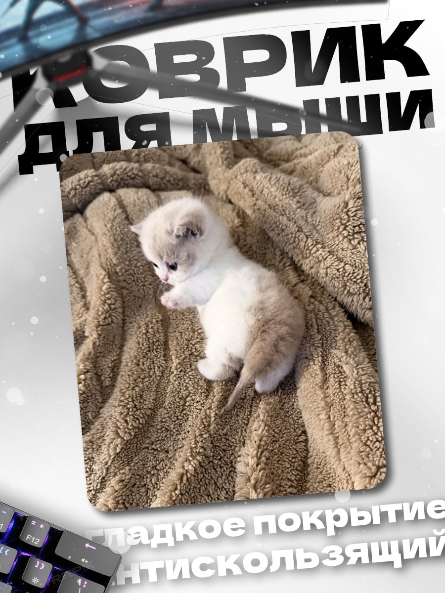 Коврик Милый котенок на пледе
