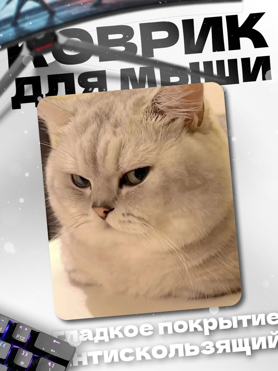 Коврик сердитый британский кот