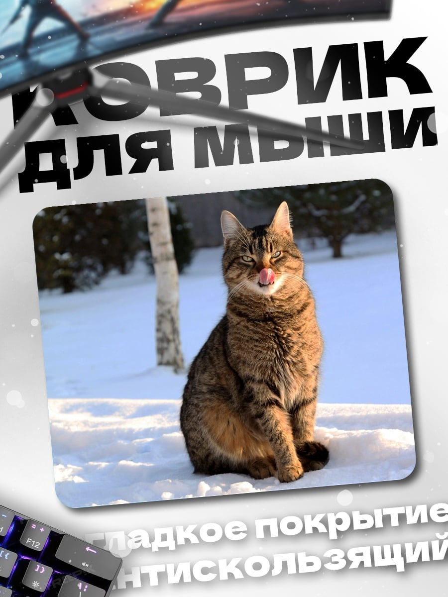 Коврик Кот на снегу